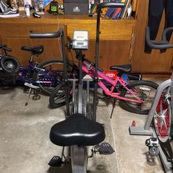 Recumbent/Air bike with Arm Exercisers 