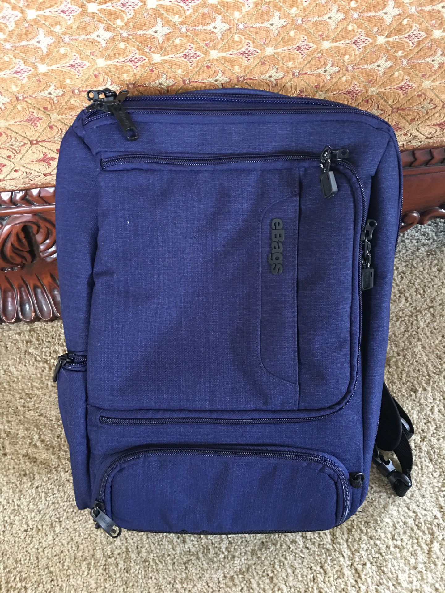 Ebags Laptop, iPad backpack NEW $30