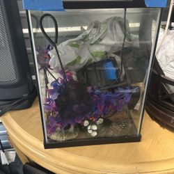 Tank