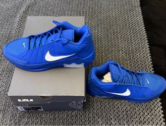 Lebron basketball shoes