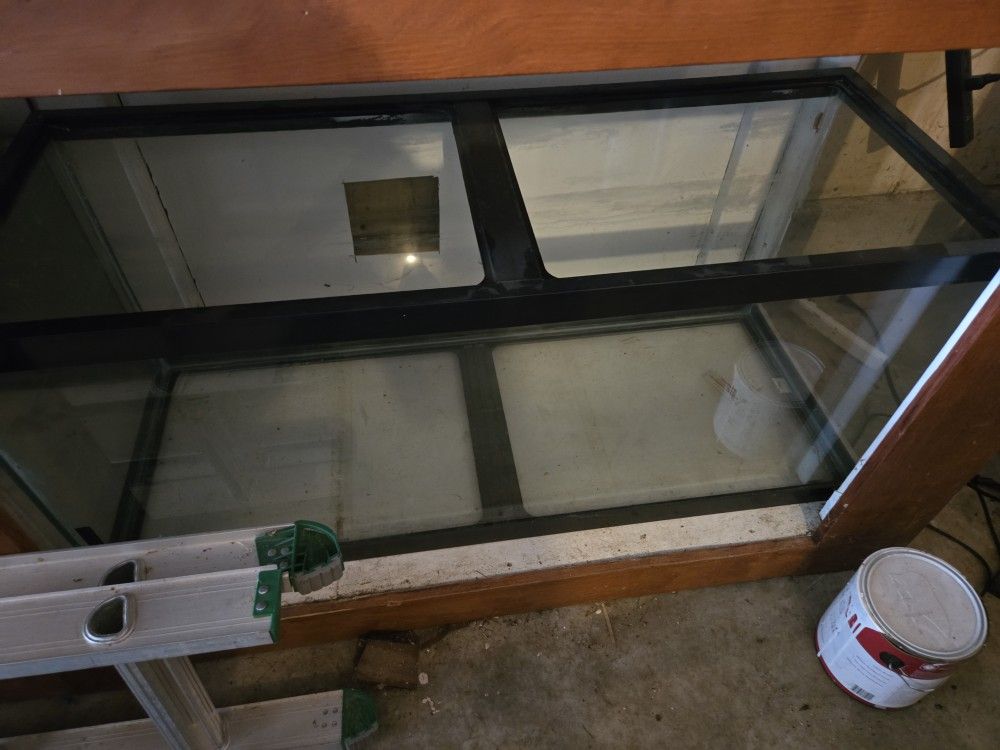 75 Gallon Tanks