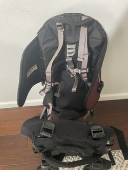 REI Tagalong Child Carrier for Sale in Lynnwood WA OfferUp