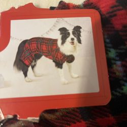 Medium Pet Sweater Or PJ