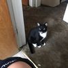 Jackie