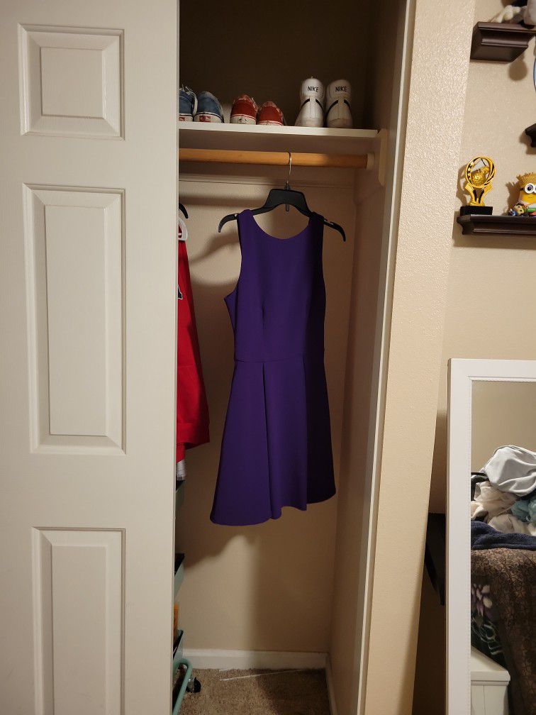 Plain Purple Dress