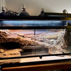 BEARDED DRAGON TERRARIUM 