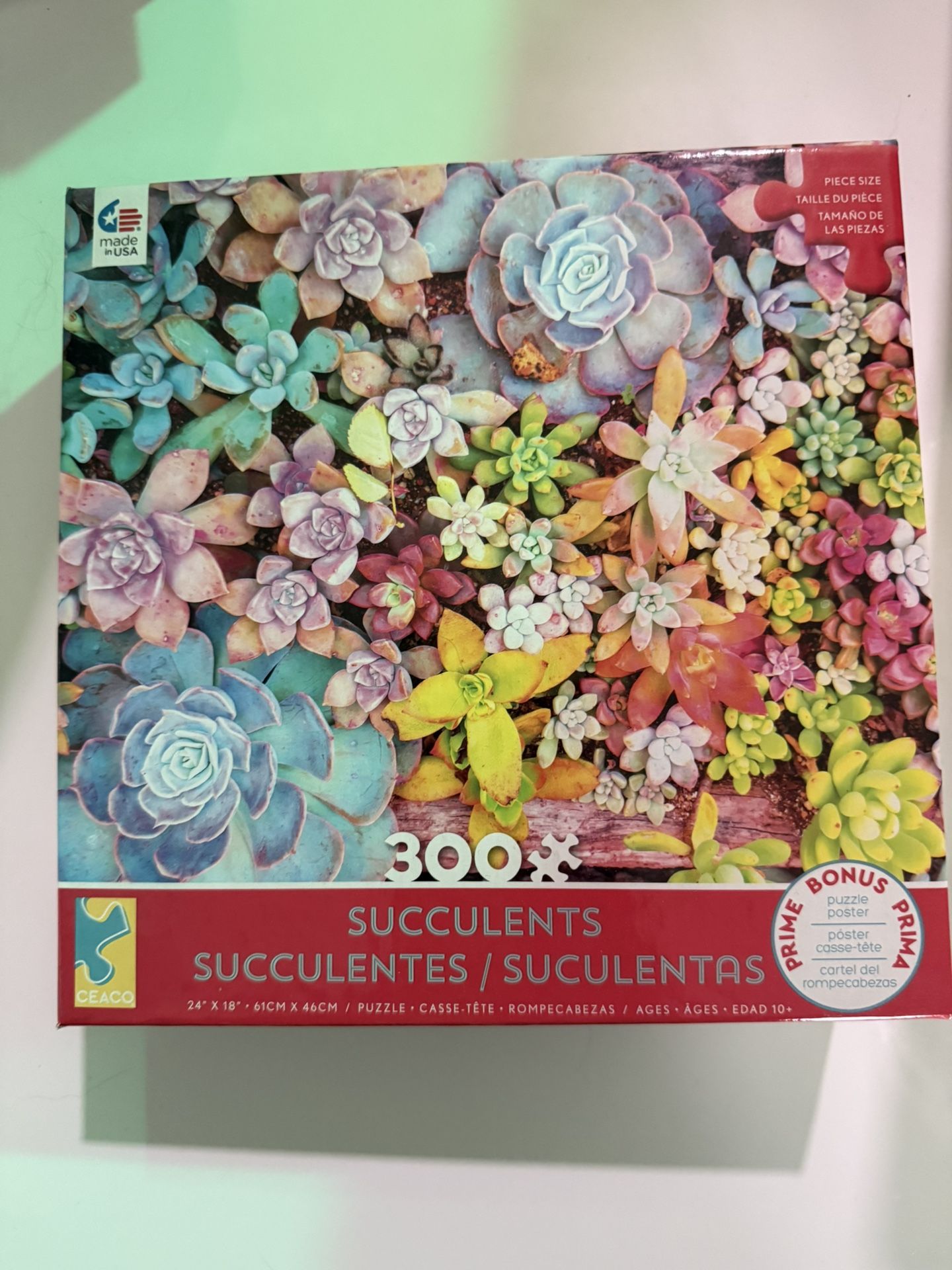 Puzzle Succulents 300 Pcs