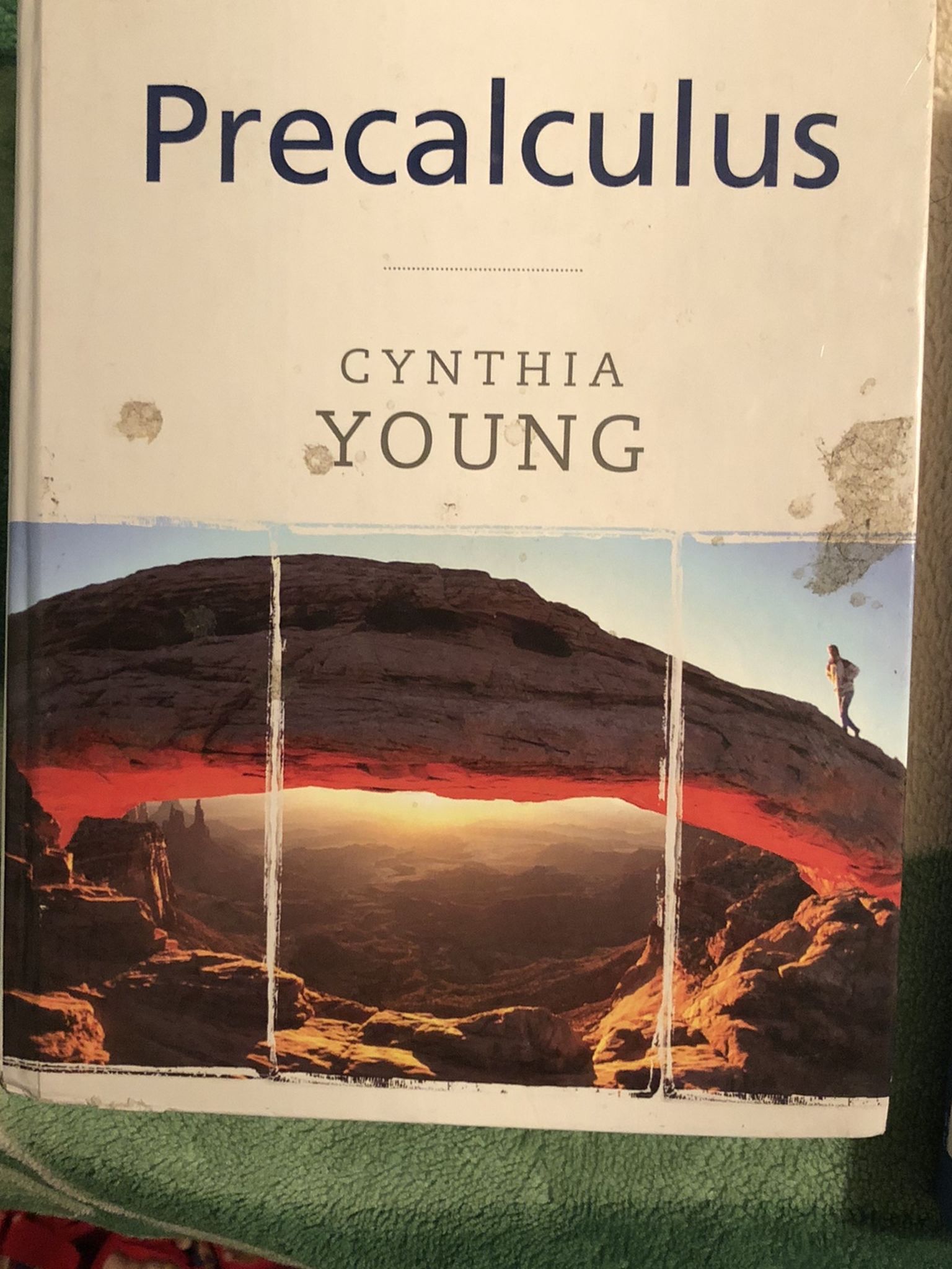 Cynthia Young Precalculus