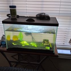 Ten Gallon Tank
