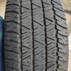 Tire Firestone Excellent 205/50R16 Firehawk  