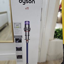 Dyson V11