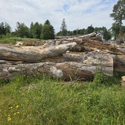 🔥FIREWOOD🔥