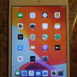 Ipad Mini 4