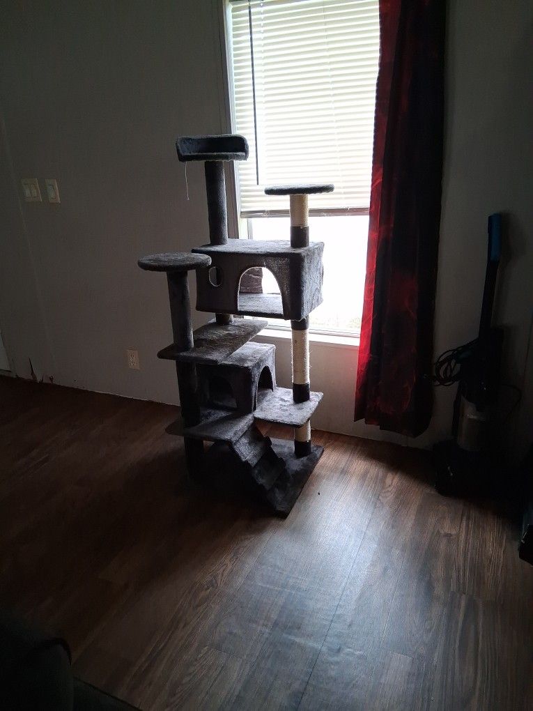 My Cats Hate It