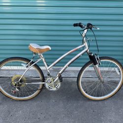 Hybrid Bike