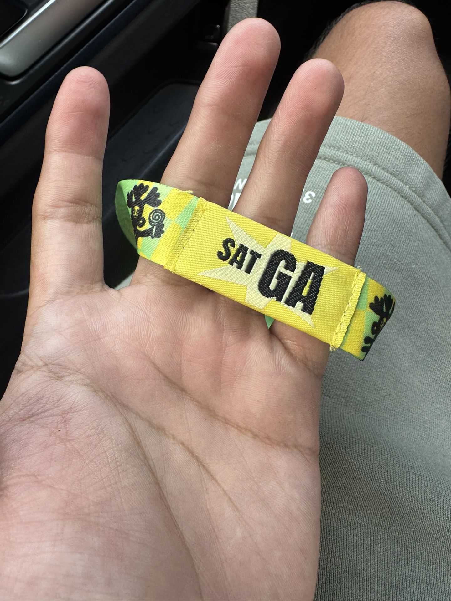 lollapalooza Saturday Pass