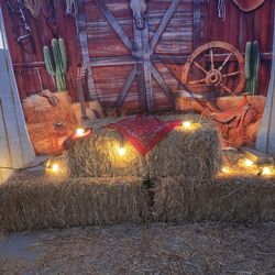 Cowboy Rodeo WESTERN backdrop