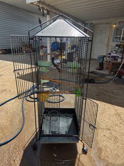 Bird Cage