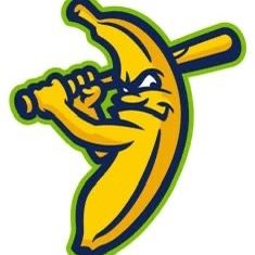 The Firefighters VS  Savannah Bananas - Nats Park