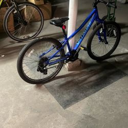 Specialized Hot Rock Mountain Bike 