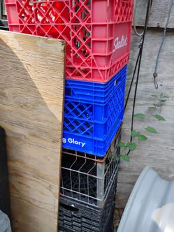 10 standard milk crates
