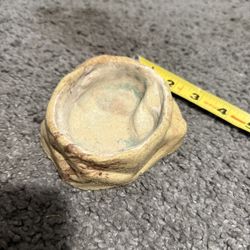 Reptile Bowl And Thermometer 