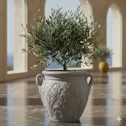 The Harmony Collection! 🫒🏷️