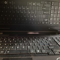 Laptop * Brand New * OBO