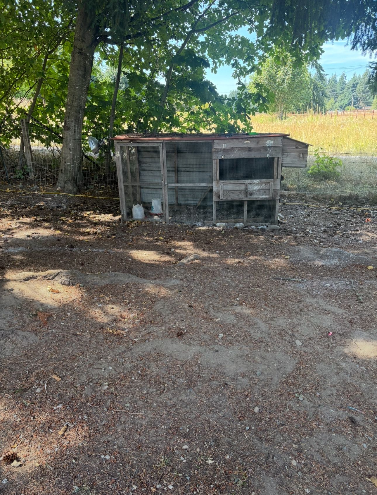Chicken Coop Waterer and Feeder.
