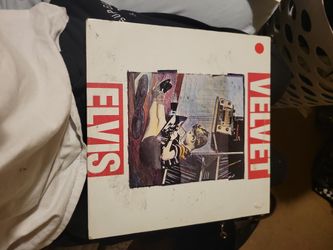 velvet elvis record
