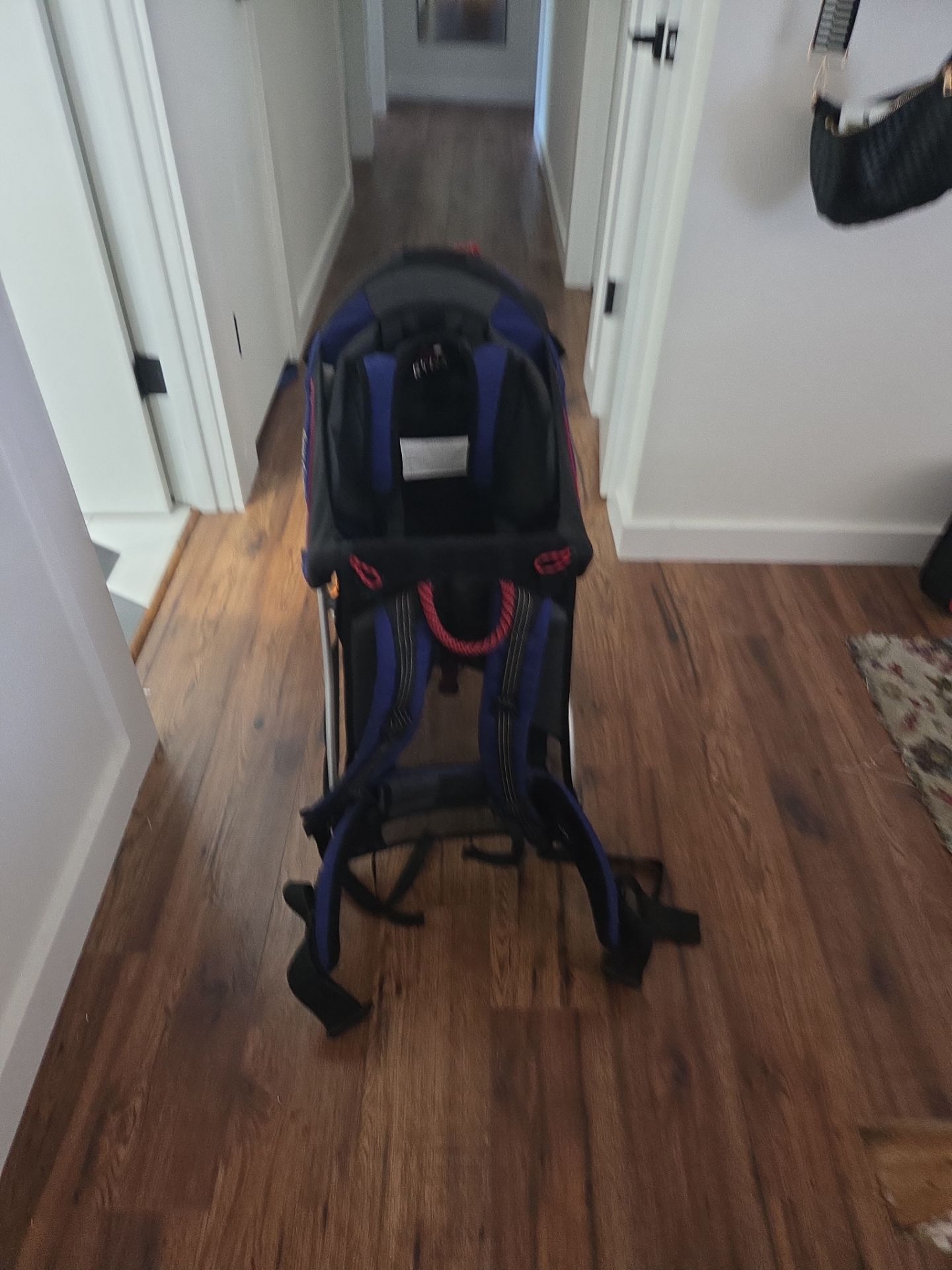Kelly kids hiking backpack