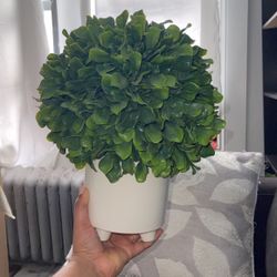 Planta Artificil 