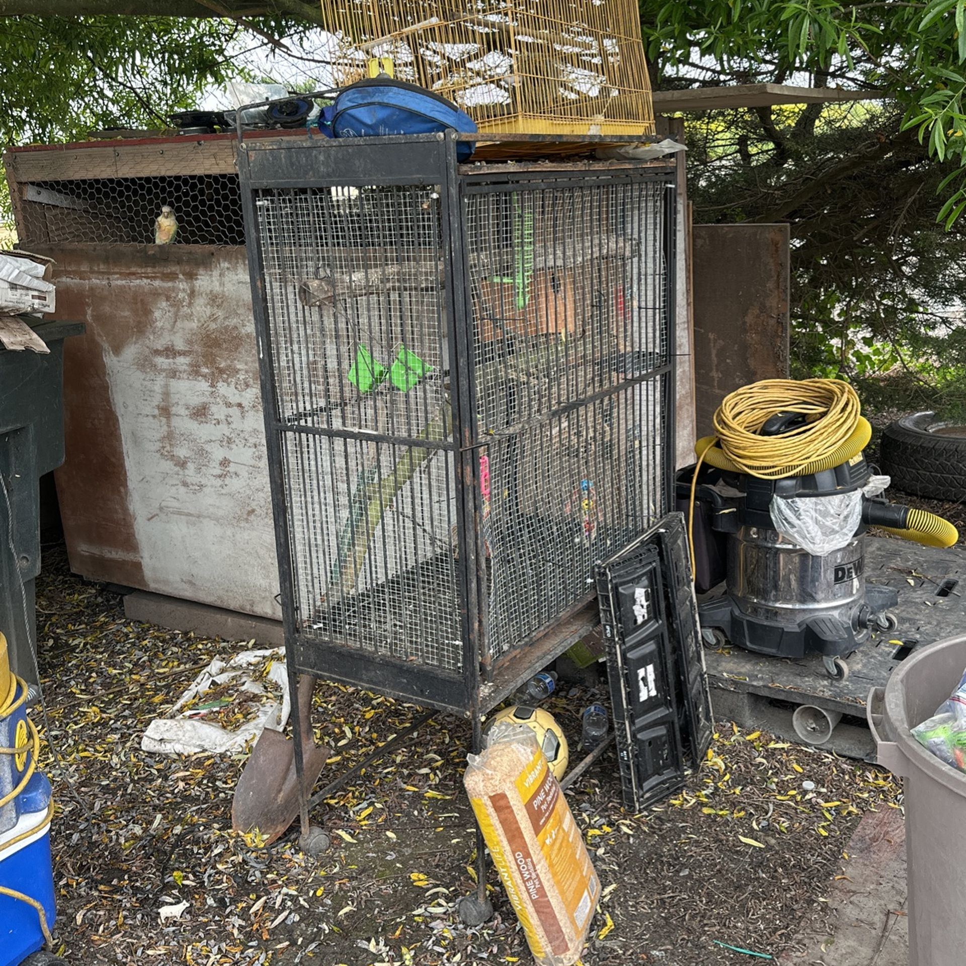 Bird Cage