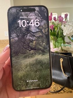 iPhone 14 Pro 256 GB Verizon