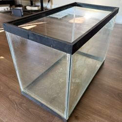 20 Gallon Fish Tank