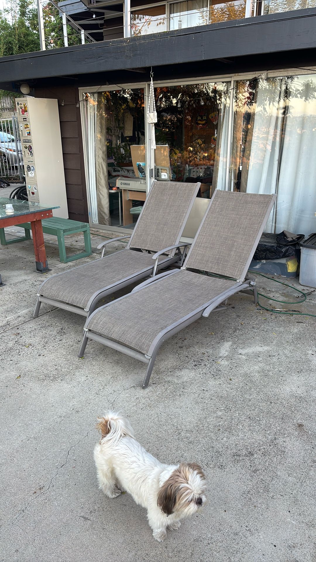 Free Deck Chairs