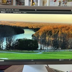 Apple Cinema 30 HD display 