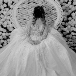 Eloquent Beautiful Wedding Dress+dress box, Veil