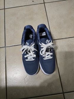 Nike LA Dunks