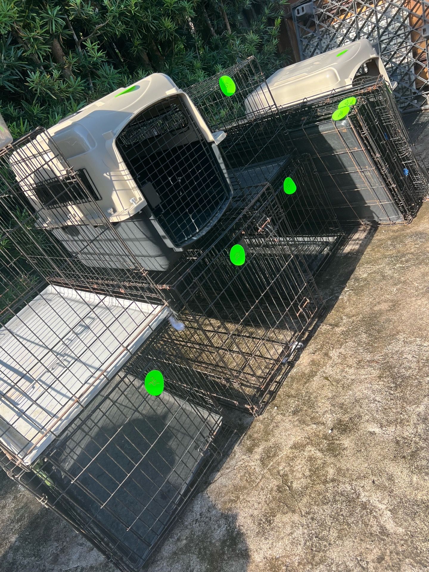 Crates kennels