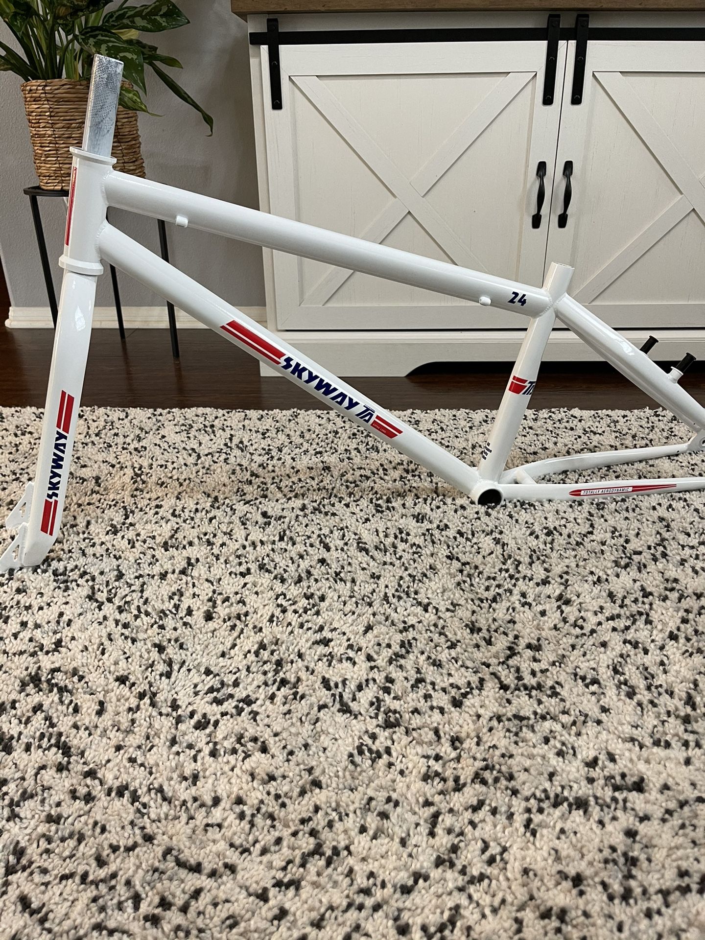 skyway bmx frame for sale
