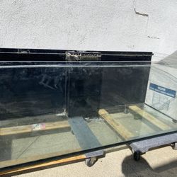 Red Sea Fish Tank Set 