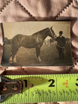 Antique 1915 Photo James Rowe Sr with Regret First Filly Kentucky Derby Winner