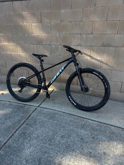 Giant Hardtail Mountain Bike