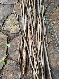 Garden BAMBOO posts and RIVER ROCKS FREE