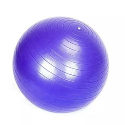 Exercise Workout Yoga Ball for Yoga Fitness Pilates Sculpting Balance with Pump