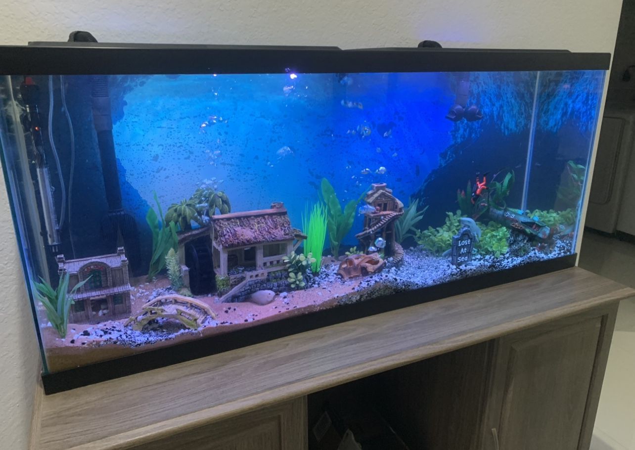 Fish Tank For Sale