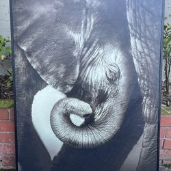 World Market Babe Elephant On Canvas