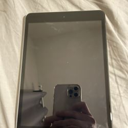 iPad Mini1