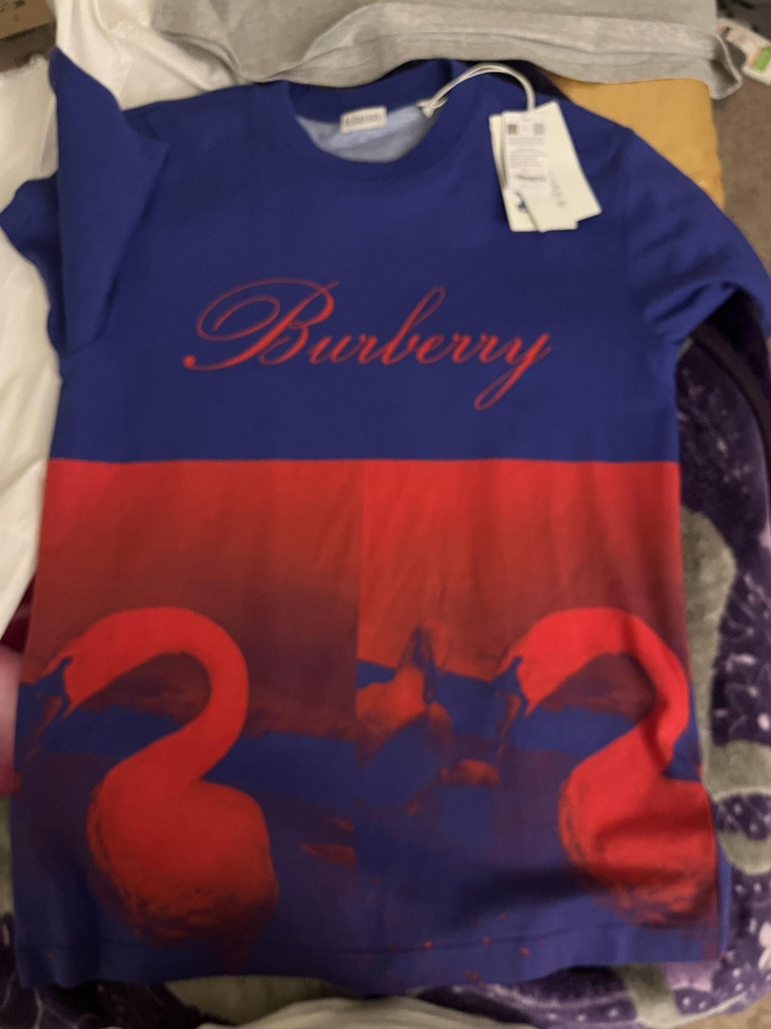 Burberry T Shirt 